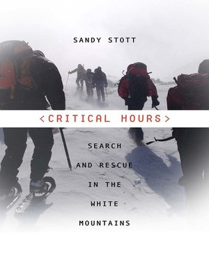 cover image of Critical Hours